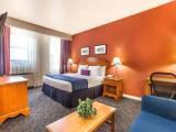 1 Bedroom Suite