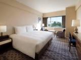 Deluxe Club Double room