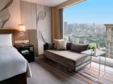 Presidential Executive Lounge Access Double Suite