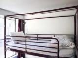 Bed in Dorm (male dorm)