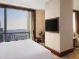 Premier Double room with Hill View Skyline
