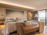 Deluxe Twin room with rice field view