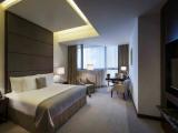 Double Studio Residence