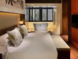 Millennium Suite