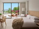 Premier Villa Double Suite