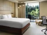 Deluxe Double Accessible  room