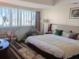 Insect Chirping In Midsummer Camping Theme Double room