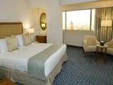 Executive Double Suite with Palace view