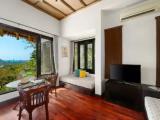 Double Hillside Pool Villa