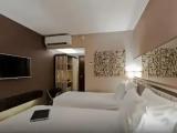 Standard Accessible Double room
