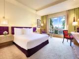 Executive Double Club room with city view