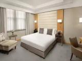 Superior Accessible Double room