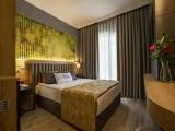 Standard Double room with pool view