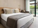 Deluxe Swim Up Double room