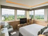 Park Double Suite