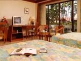 Deluxe Triple Family room