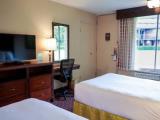 Accessible Quadruple room
