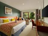 Deluxe Family Double room