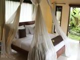 Suite Double Villa with garden view