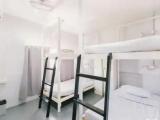 Premium Quadruple room