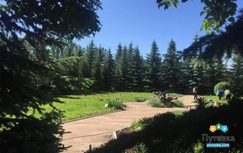 Тулпар (Иссык-Куль) - 4