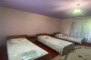 Chetyryohmestnyy nomer s vidom na gory Apartments, Novyjj Afon