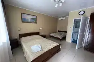 Komnata so vsemi udobstvami Apartments, Alakhadzi