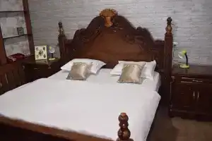 Dvuhmestnyy nomer s 1 krovatyu standart Apartments