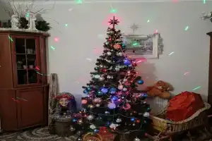 Dom meshchanina Kameneva Cottage, Yelabuga