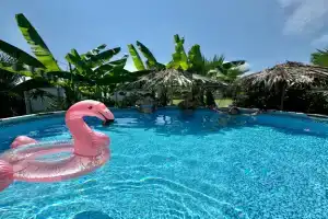 Vse dlya Vas Guest house, Gudauta