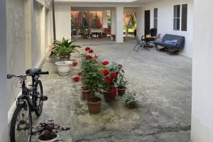 Uyutnyy Guest house, Sukhumi