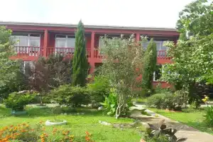 Zau Vila, Grigoleti