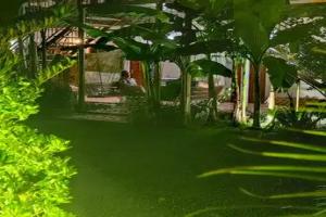 Mandarinka Guest house, Pitsunda