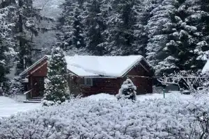 Dom u lesa, banya na drovah Cottage, Istra