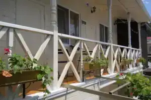 Dobryy Lev Guest house, Sukhumi