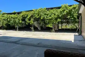 Luka Guest house, Sukhumi