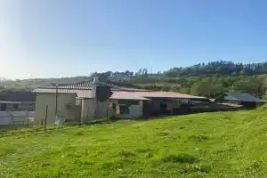 Evkalipt Guest house, Novyjj Afon