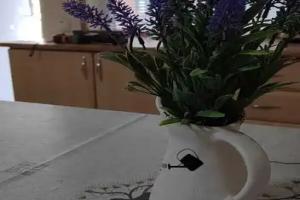 Guesthouse on Rabochaya 2b, Yeysk