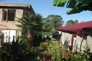 U Mishi Guest house, Gagra