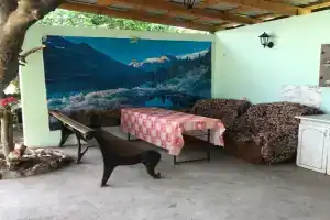 Ilona Guest house, Pitsunda