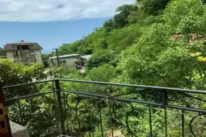 Dias Guest House, Gagra