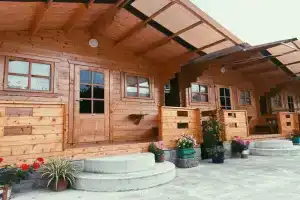 Гостевой ДОМ У МОРЯ, цандрипш, Candripsh