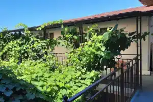 Guest house "Na Pushkina 20", Gudauta