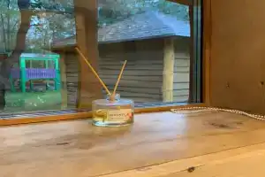 Usadba Vishnya Tourist base