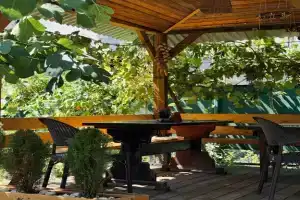 Uyut Guest house, Sukhumi