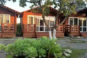 Eko-otel "U Madiny", Gagra