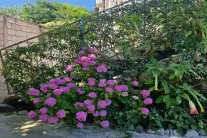 MarTin Guest house, Ldzaa