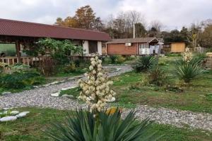 Dzhagat - Park u morya Camping, Sukhumi