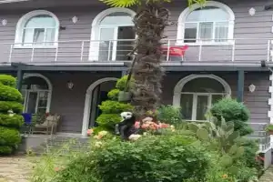 Nica Hotel, Kobuleti