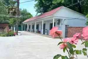 Daniella Guest House, Pitsunda